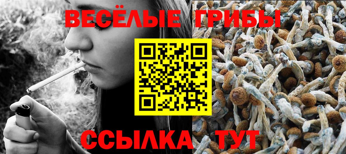 Галлюциногенные грибы Cubensis Урай