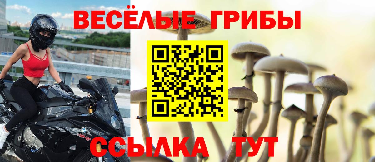 Урай  Галлюциногенные грибы Psilocybe  Вход с VPN 