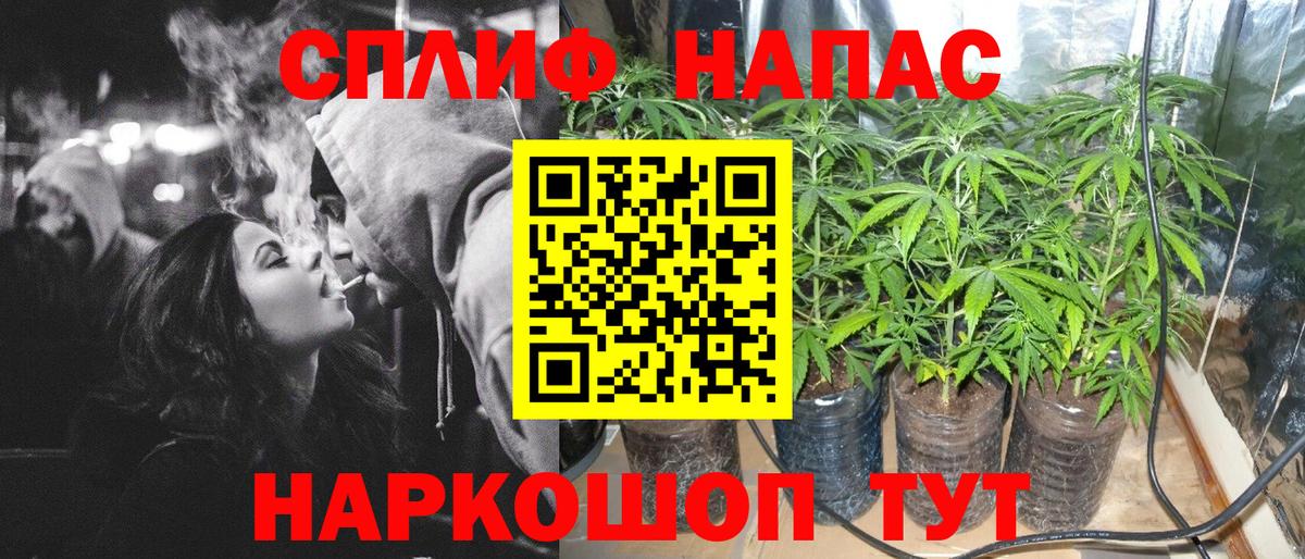 Бошки марихуана MAZAR Урай